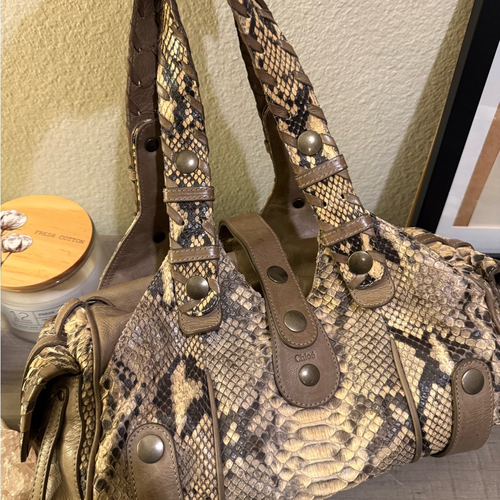 Chloé Silverado Python - Picture 11 of 16